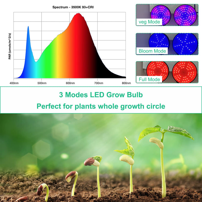 YOHIA 6-Set Seed Starter Kit with Grow Light - 12 Cells Seed Starter Trays with Humidity Dome and Seed Tray for Indoor Gardening